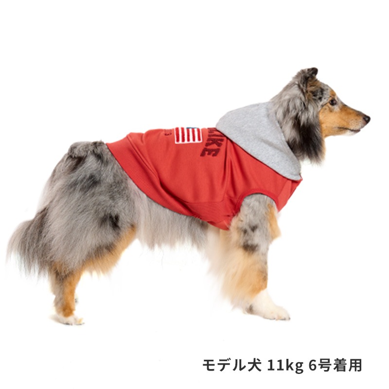 ナショナルフラッグフーディー | AW Clothes（秋冬洋服） | LIFE LIKE