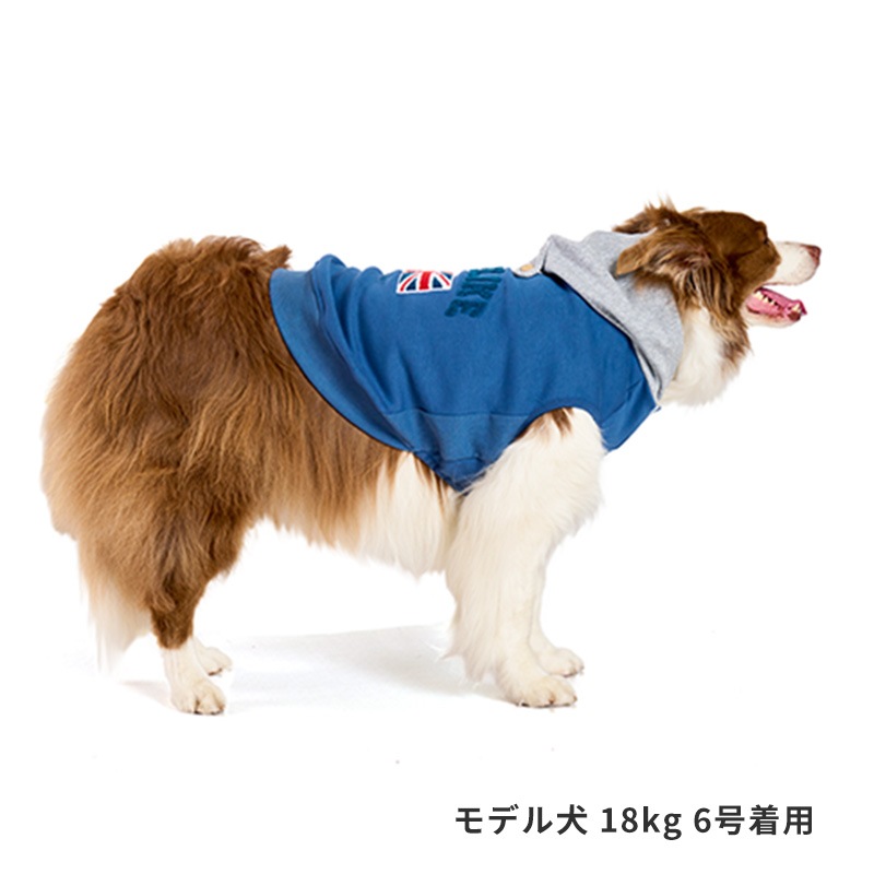 ナショナルフラッグフーディー