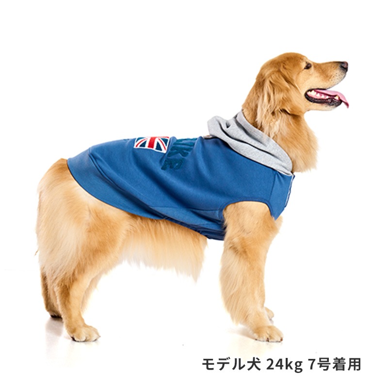 ナショナルフラッグフーディー | AW Clothes（秋冬洋服） | LIFE LIKE