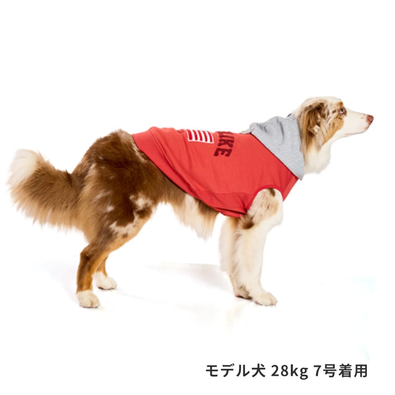 ナショナルフラッグフーディー | AW Clothes（秋冬洋服） | LIFE