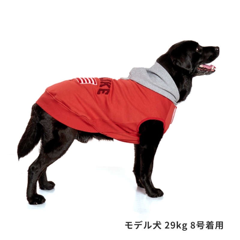 ナショナルフラッグフーディー