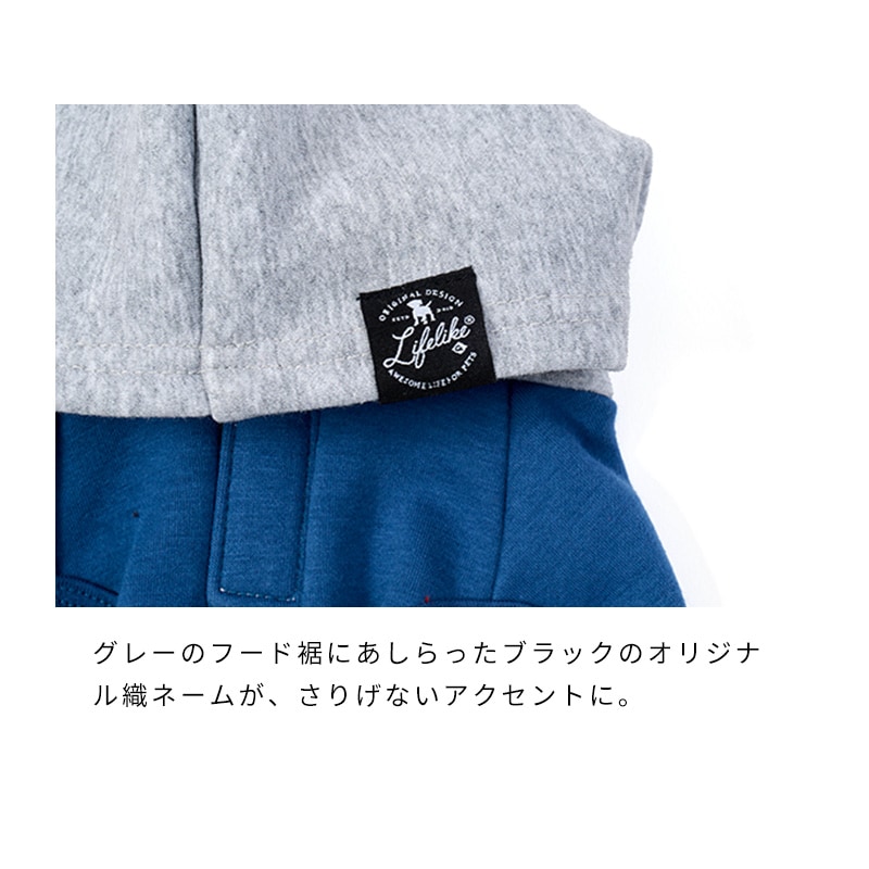 ナショナルフラッグフーディー