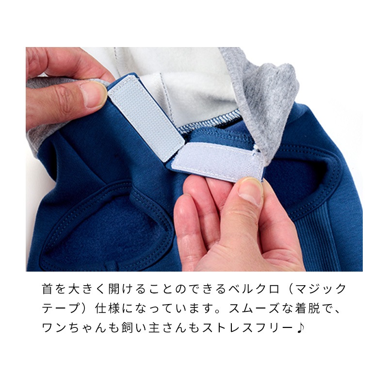 ナショナルフラッグフーディー