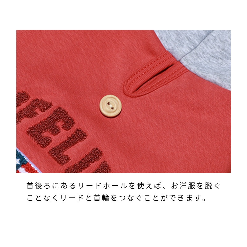 ナショナルフラッグフーディー