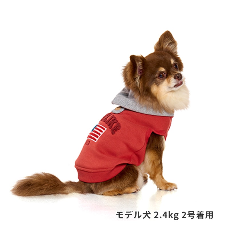 ナショナルフラッグフーディー