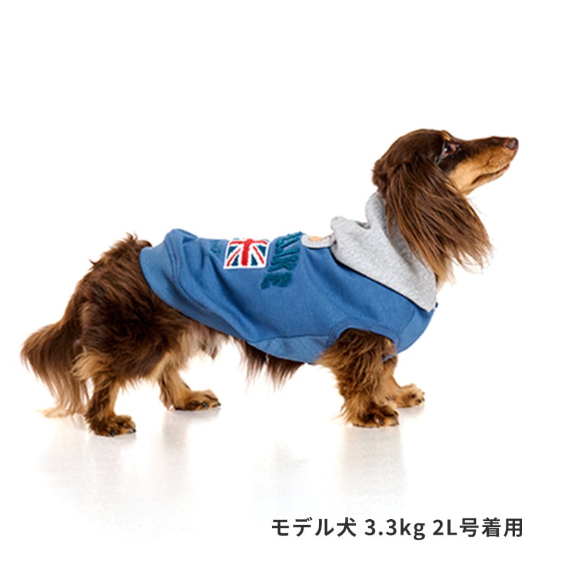 ナショナルフラッグフーディー | AW Clothes（秋冬洋服） | LIFE LIKE