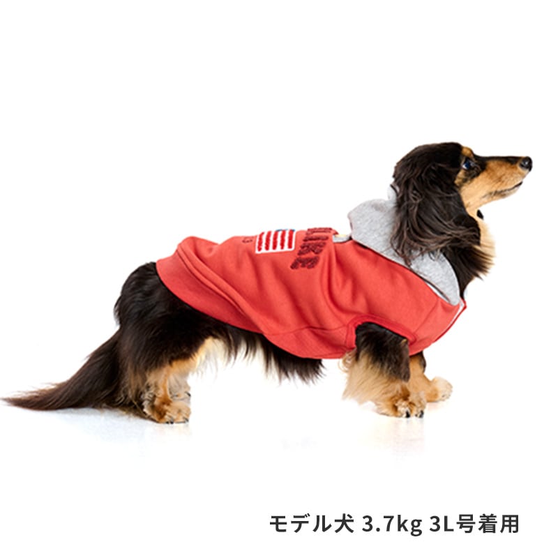 ナショナルフラッグフーディー