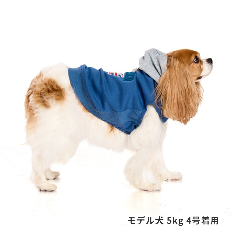 ナショナルフラッグフーディー