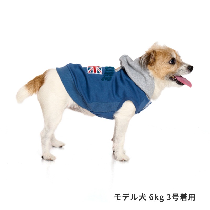 ナショナルフラッグフーディー