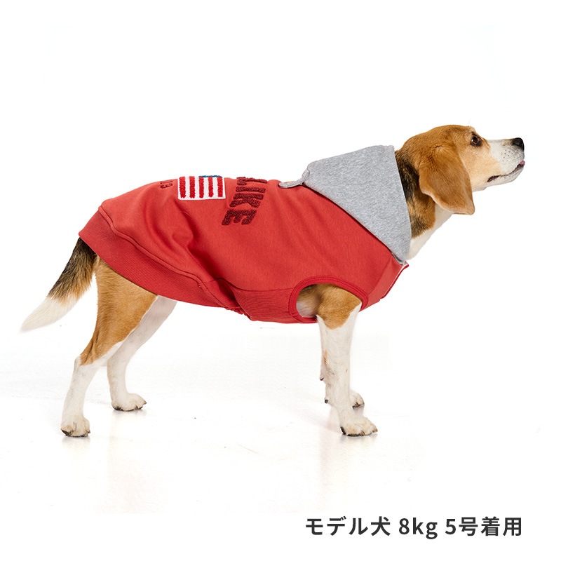 ナショナルフラッグフーディー