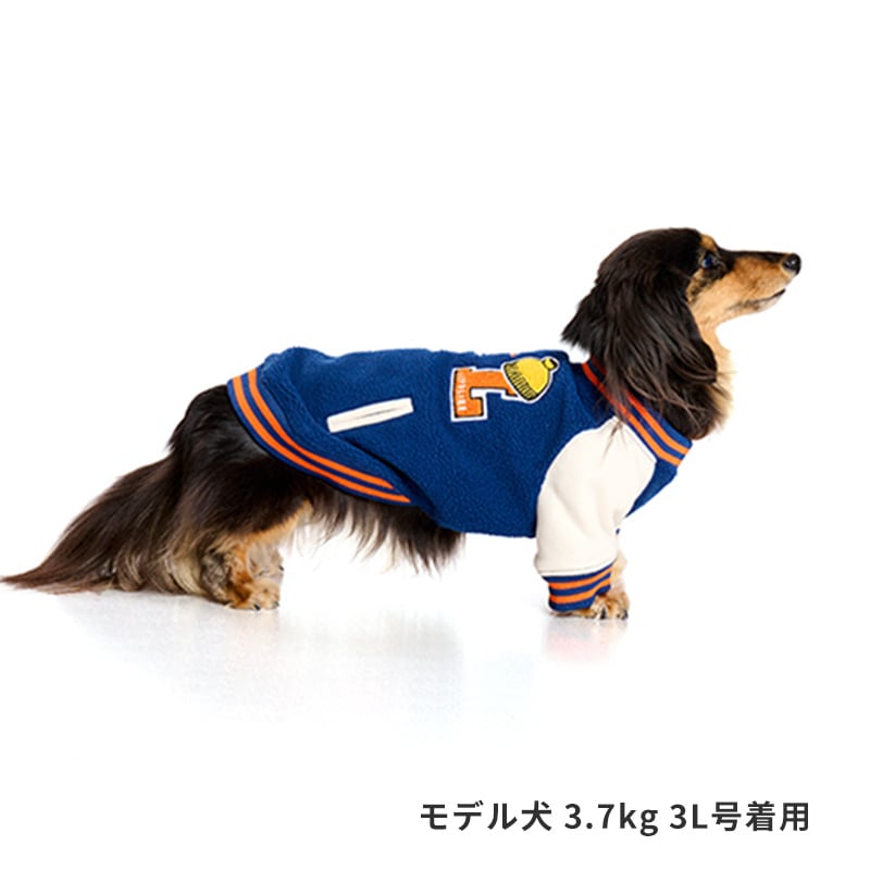 スタジャンライクプルオーバー | AW Clothes（秋冬洋服） | LIFE LIKE