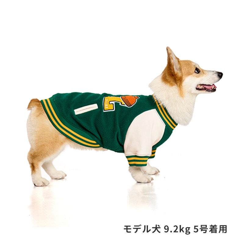 スタジャンライクプルオーバー