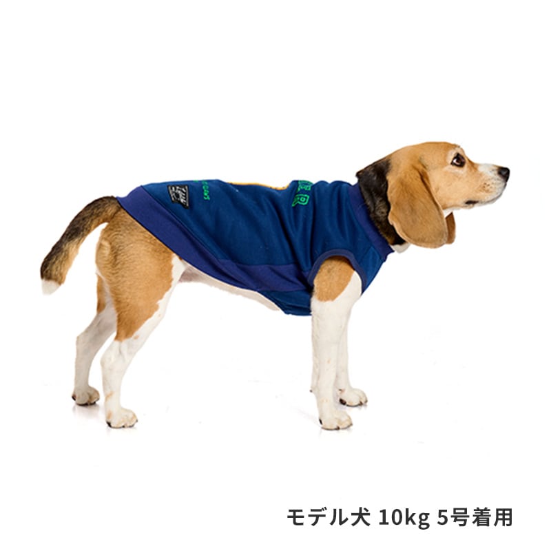 寝そべりアニマルトレーナー