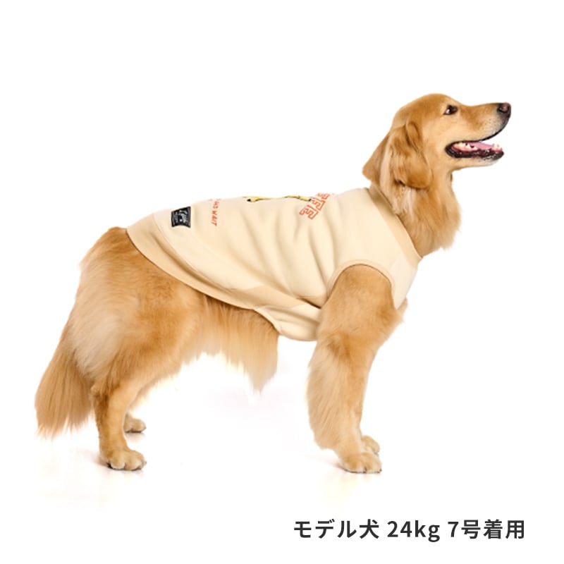 寝そべりアニマルトレーナー