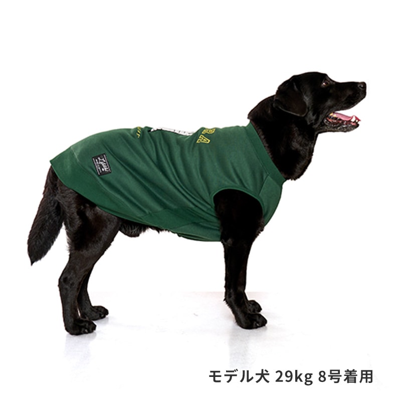 寝そべりアニマルトレーナー