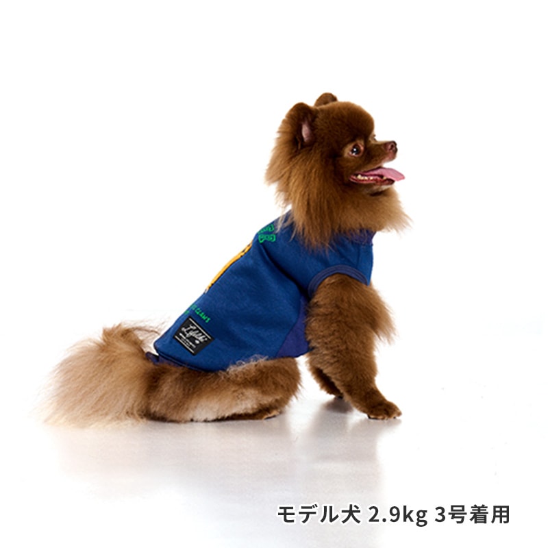 寝そべりアニマルトレーナー