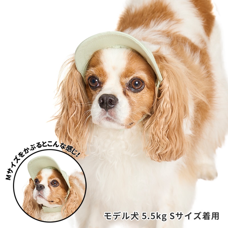 ペールトーンカラーキャップ