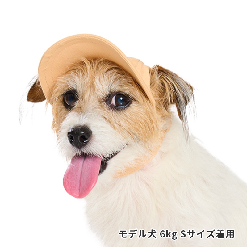 ペールトーンカラーキャップ