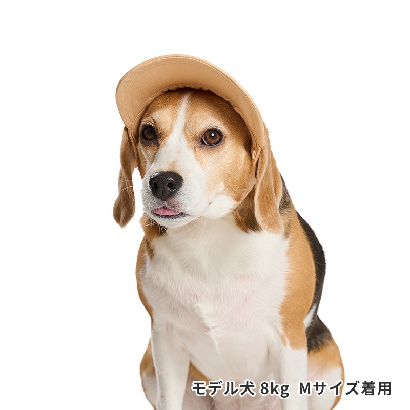 ペールトーンカラーキャップ
