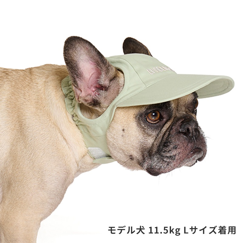 ペールトーンカラーキャップ