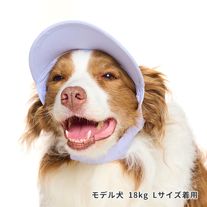ペールトーンカラーキャップ