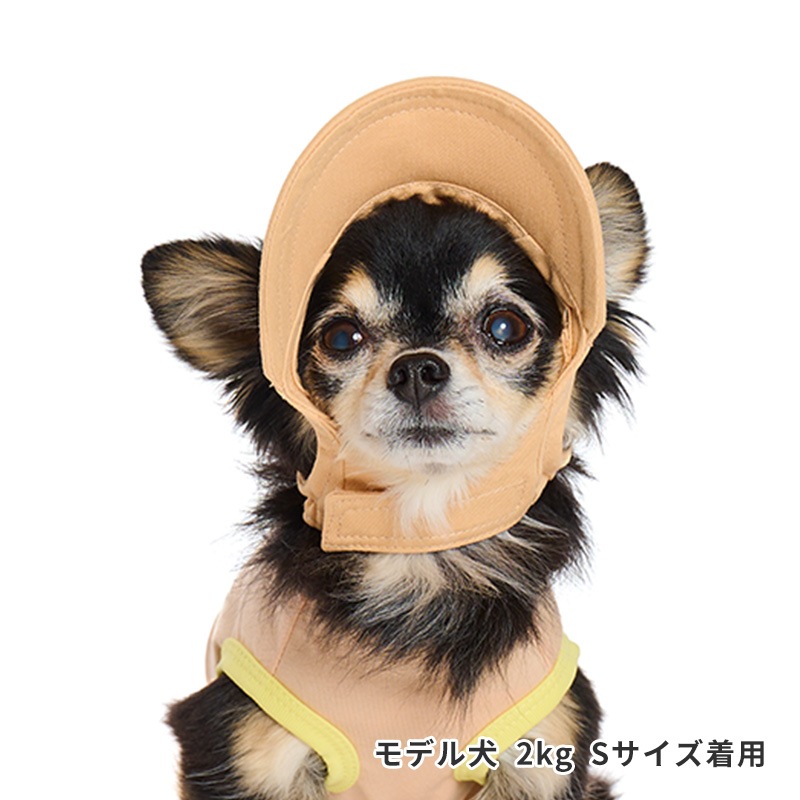ペールトーンカラーキャップ