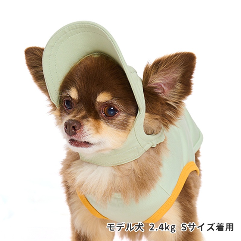 ペールトーンカラーキャップ