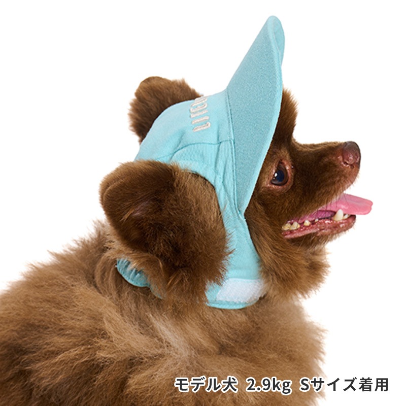 ペールトーンカラーキャップ