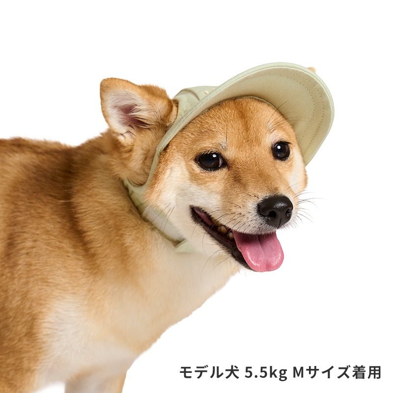 ペールトーンカラーキャップ