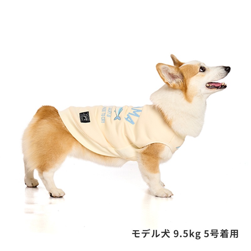 オータムグルメトレーナー