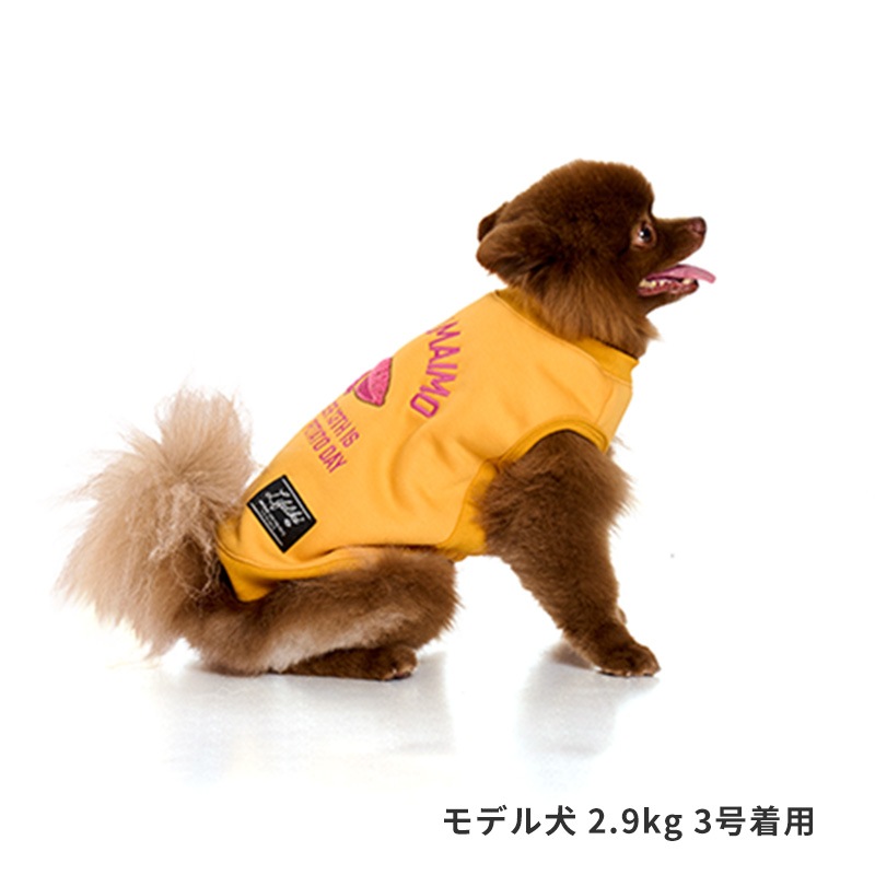 オータムグルメトレーナー