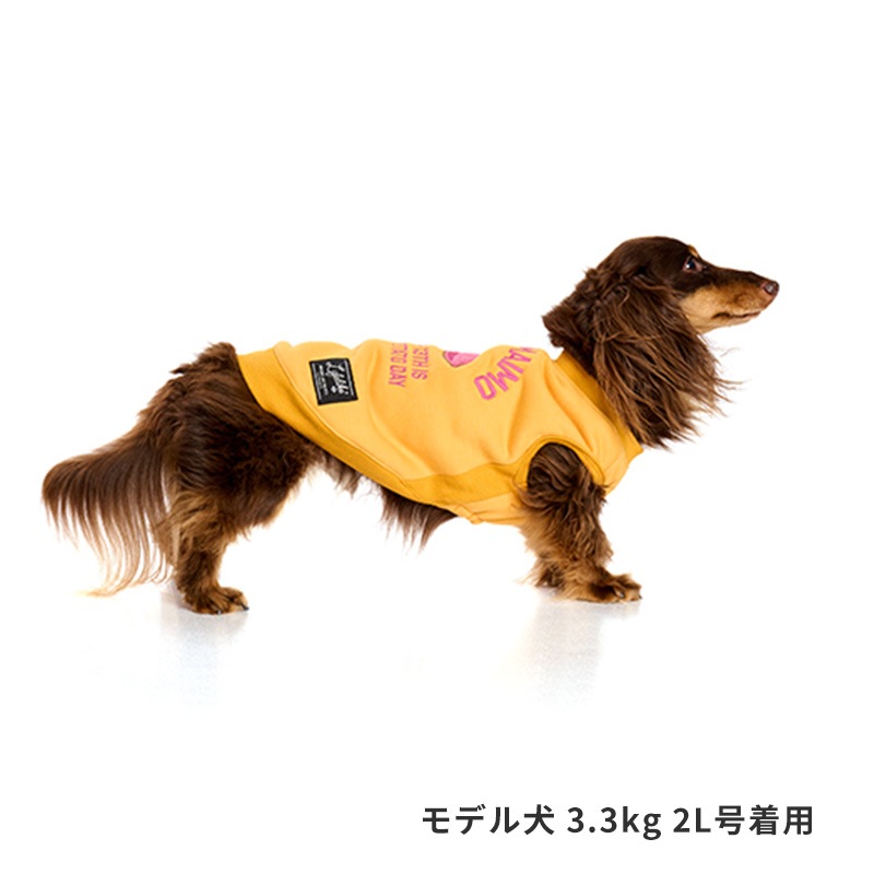 オータムグルメトレーナー