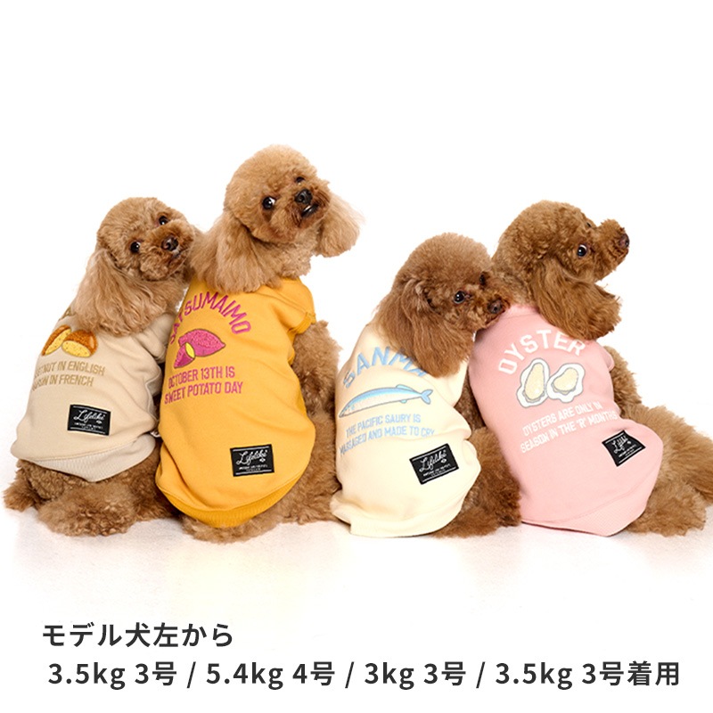 オータムグルメトレーナー