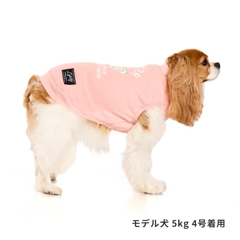 オータムグルメトレーナー