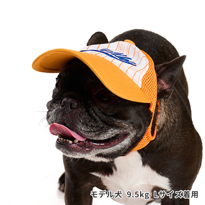 ベースボールキャップ