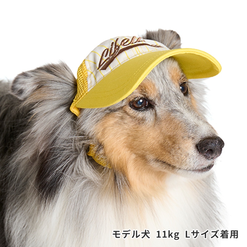 ベースボールキャップ