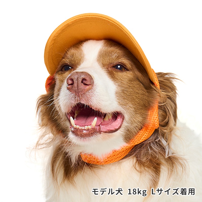 ベースボールキャップ