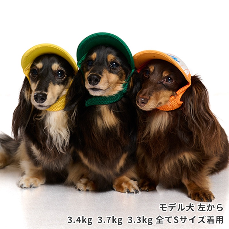 ベースボールキャップ