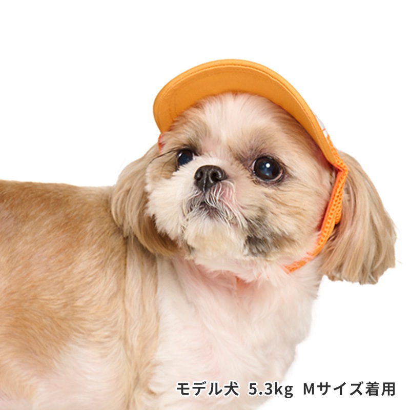 ベースボールキャップ