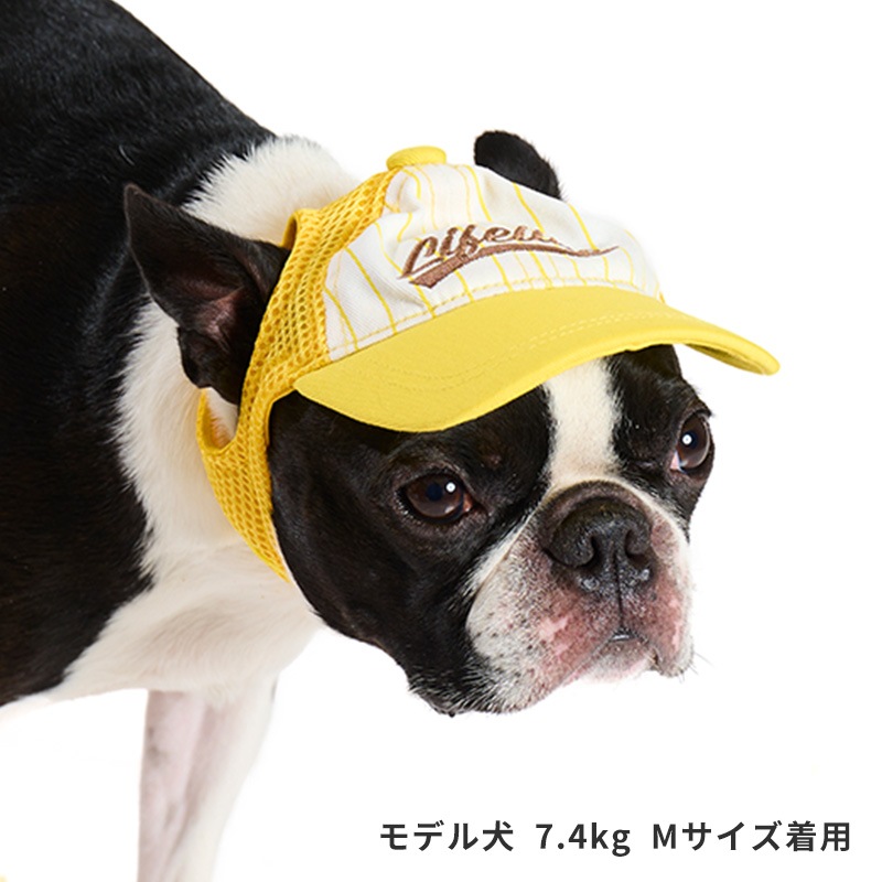 ベースボールキャップ