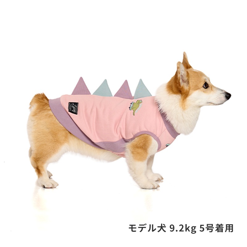 ストリート恐竜トレーナー