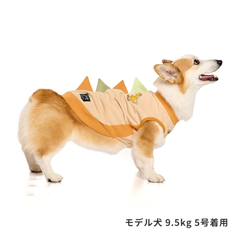 ストリート恐竜トレーナー