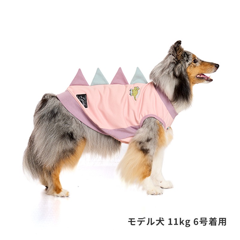 ストリート恐竜トレーナー