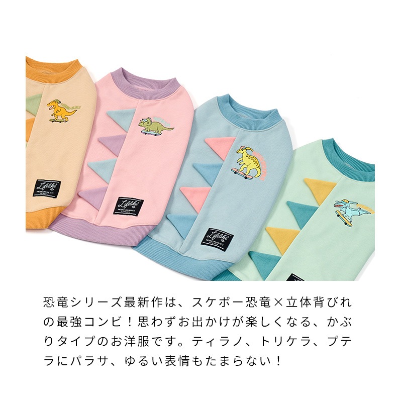 ストリート恐竜トレーナー