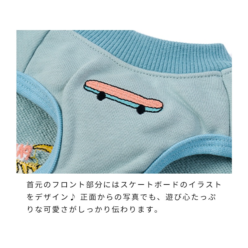 ストリート恐竜トレーナー