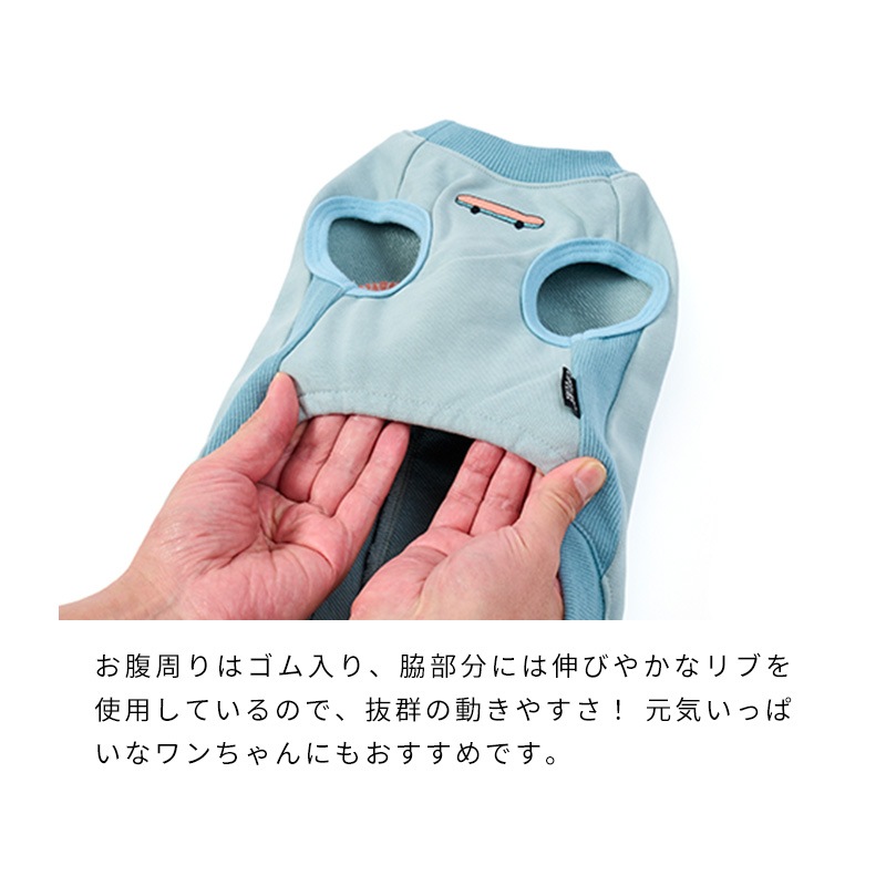 ストリート恐竜トレーナー