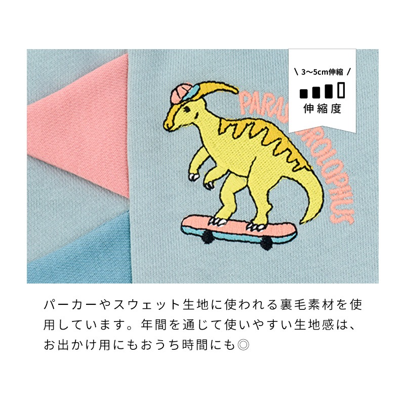 ストリート恐竜トレーナー