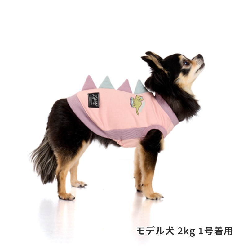 ストリート恐竜トレーナー