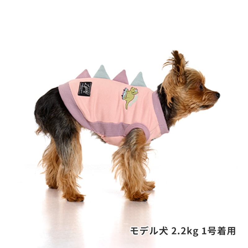 ストリート恐竜トレーナー