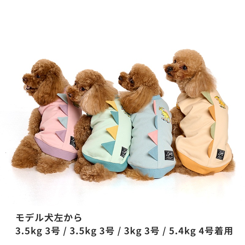 ストリート恐竜トレーナー